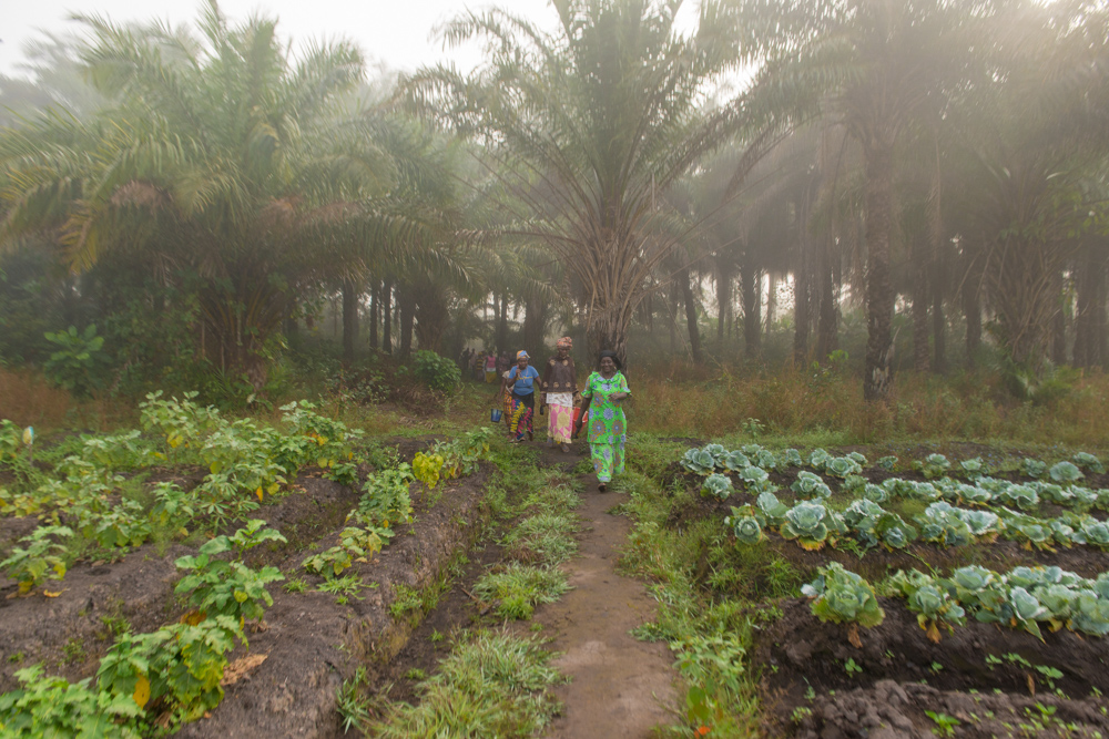 Vision Impact Agro