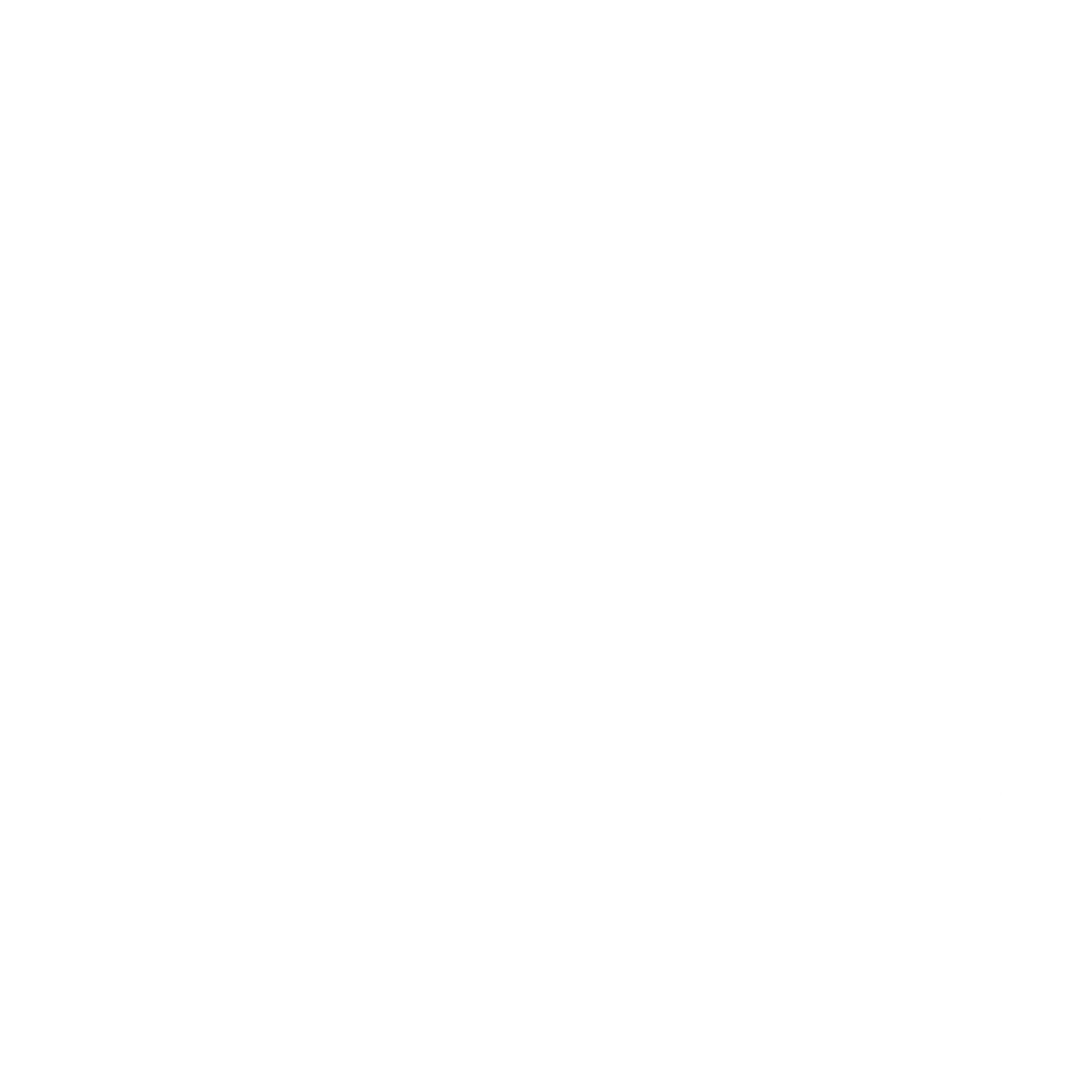 VISION IMPACT GROUP
